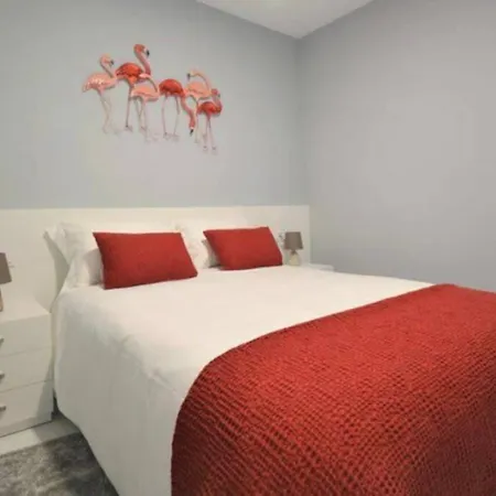 Descubre El Salnes En